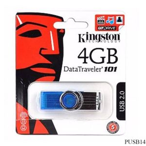 USB Kingston 4GB