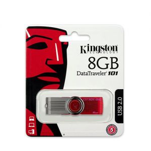 USB Kingston 8GB